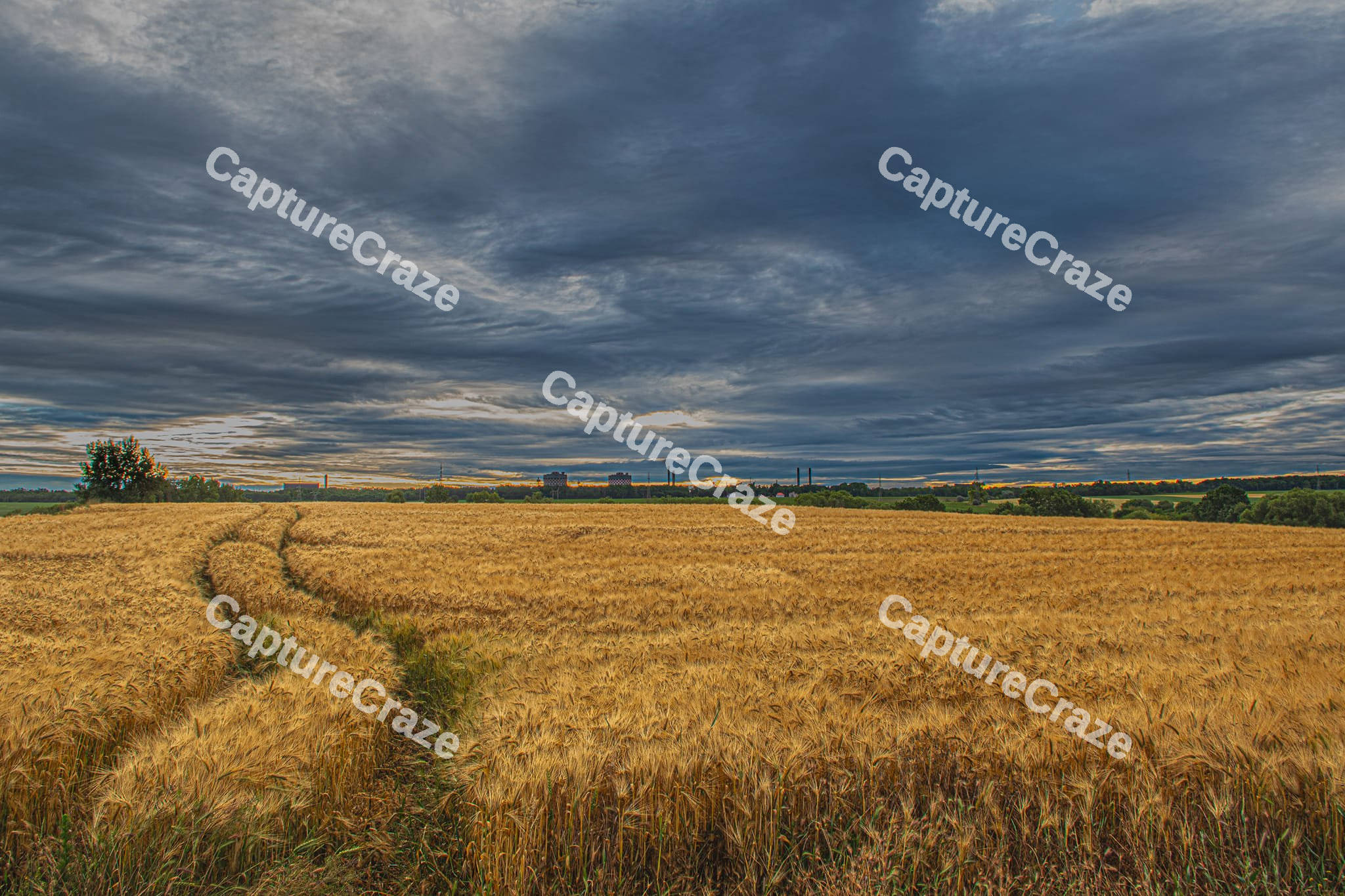 Weat Field